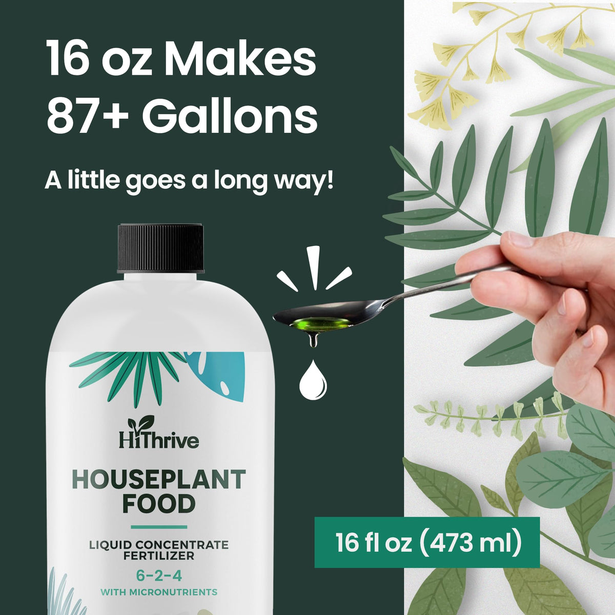HiThrive greener leaves indoor plants image highlights lush, thick foliage.