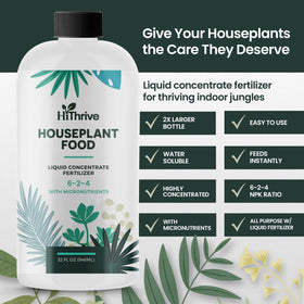 HiThrive plant food being measured with teaspoon for easy dilution