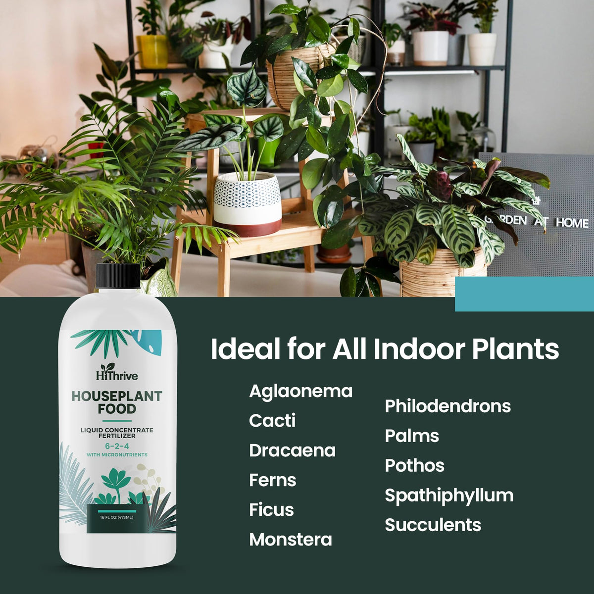 HiThrive pothos plant food growth image emphasizes stronger roots and lush vines.