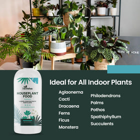 HiThrive pothos plant food growth image emphasizes stronger roots and lush vines.
