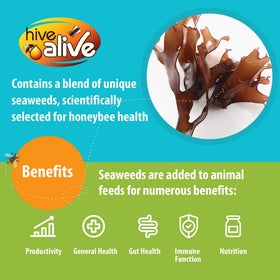 HIVE ALIVE fondant for emergency feeding supports winter colony resilience