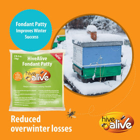 HIVE ALIVE fondant under cover board delivering direct nutrition to clusters