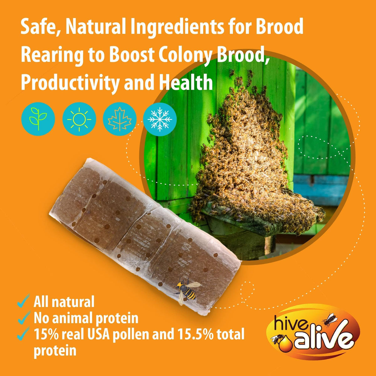 Bees removing patty from the frame with Hive Alive concentrated blend.