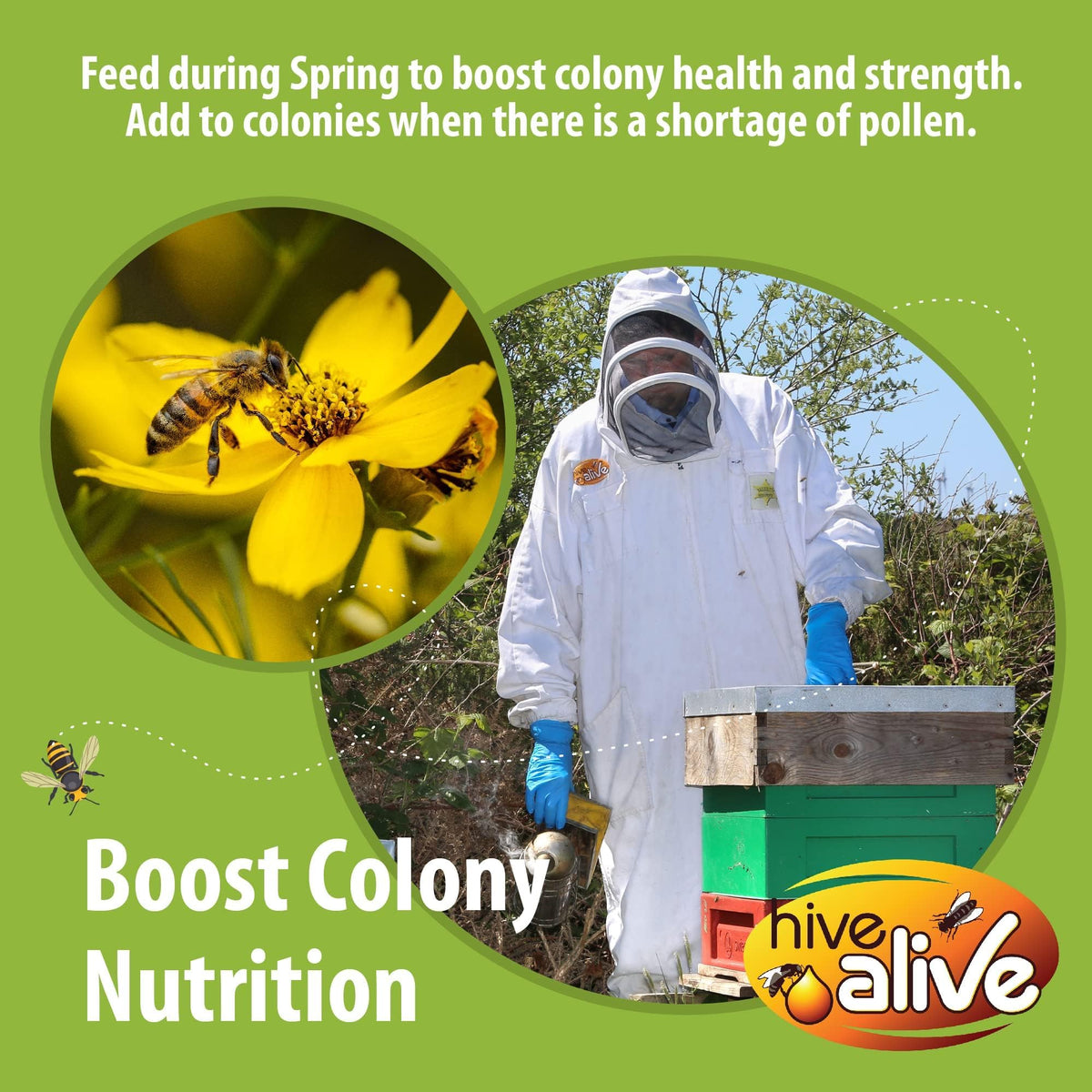 Seaweed micronutrients and amino acids included in Hive Alive Patties.