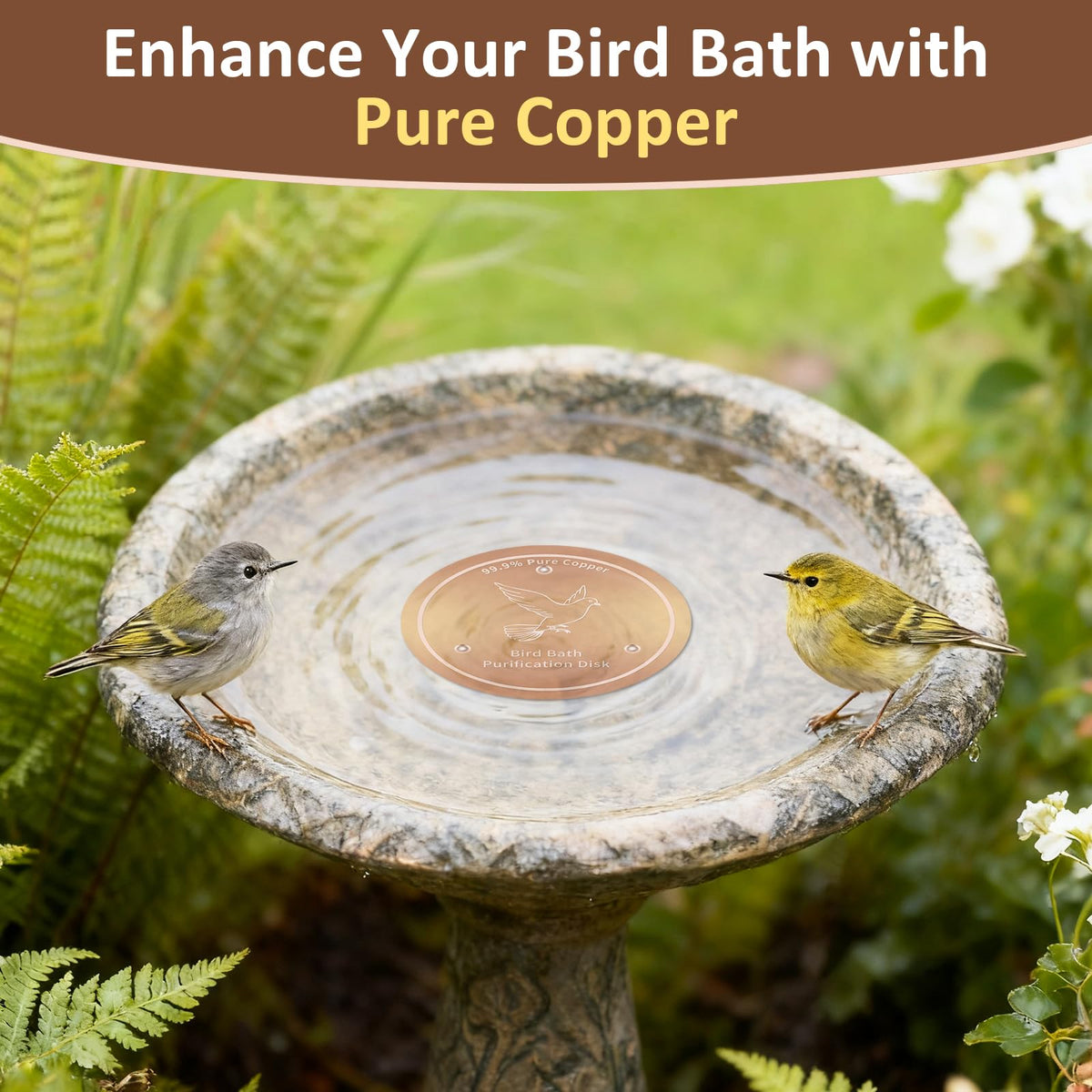 Hivenlly copper disc attracts birds drinking from treated water