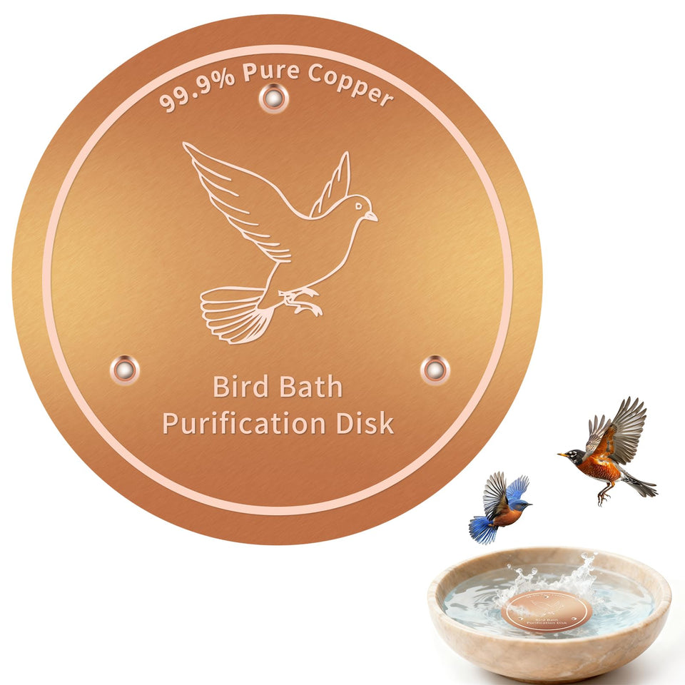 Hivenlly copper disc in water close-up promoting natural cleanliness
