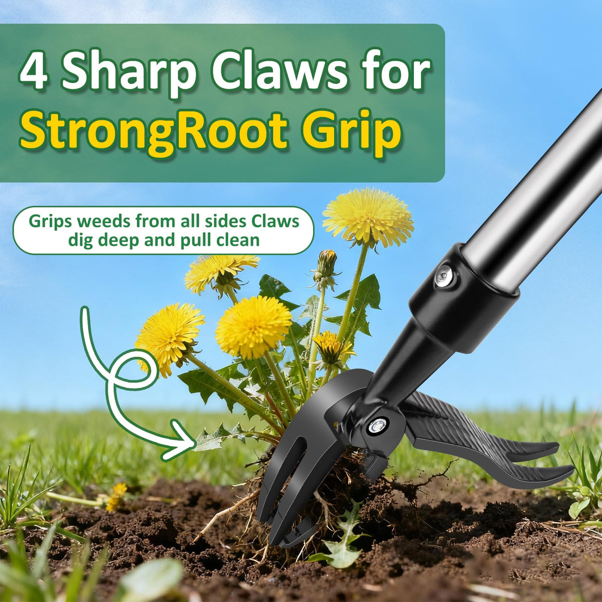 Hivenlly root-to-tip extraction helps prevent weed regrowth.