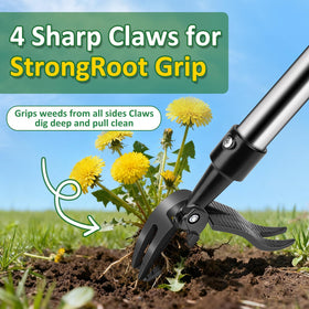 Hivenlly root-to-tip extraction helps prevent weed regrowth.
