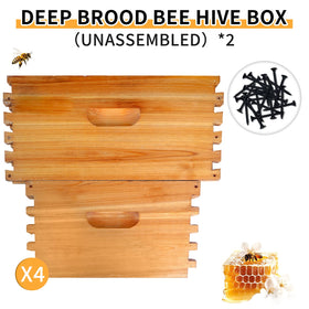 HiveSweet assembly-ready hive box enables efficient setup for new colonies.