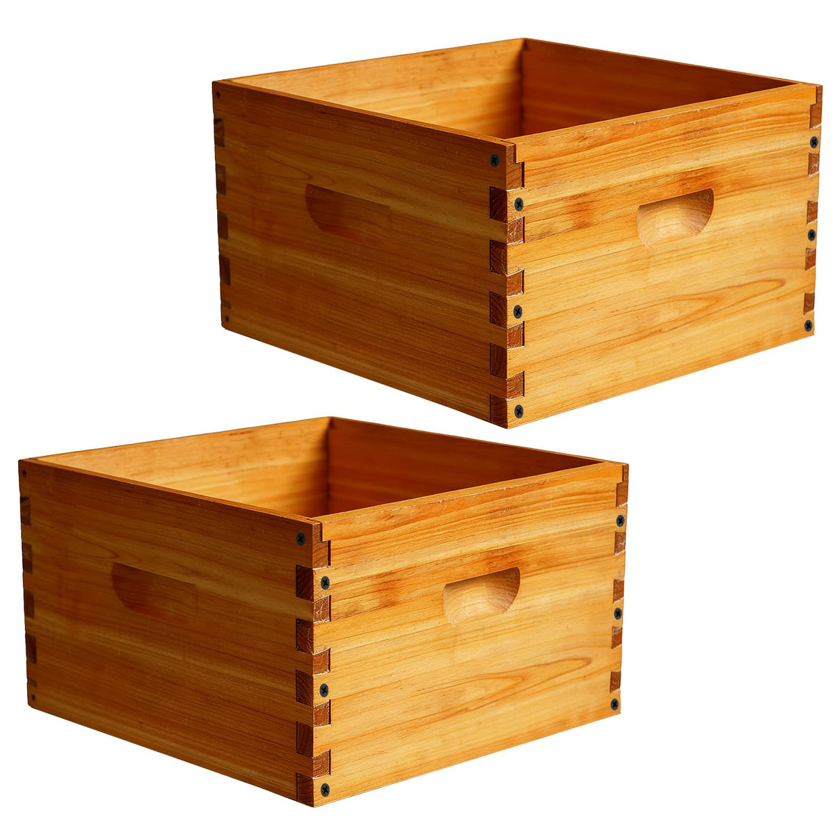 HiveSweet deep brood box with 10-frame layout for durable brood housing.