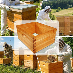 HiveSweet deep brood box in use shows stable brood space for thriving colonies.
