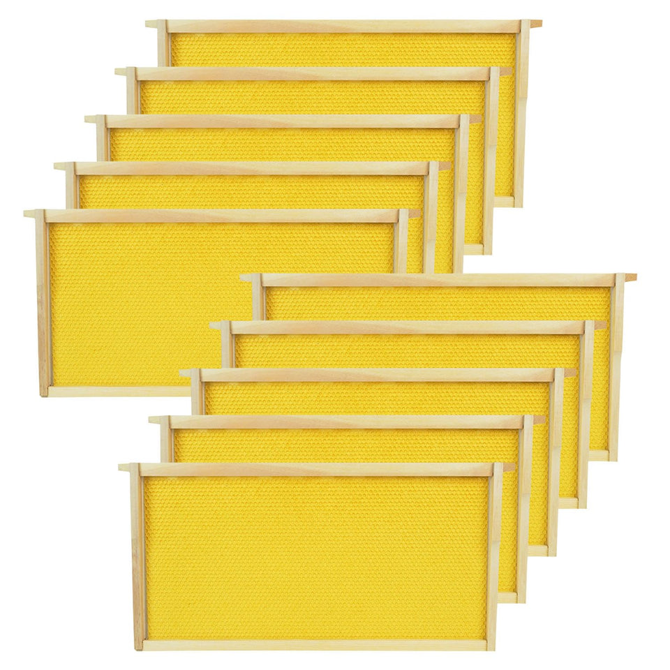 HiveSweet deep brood frame with wax foundation for quick hive expansion.