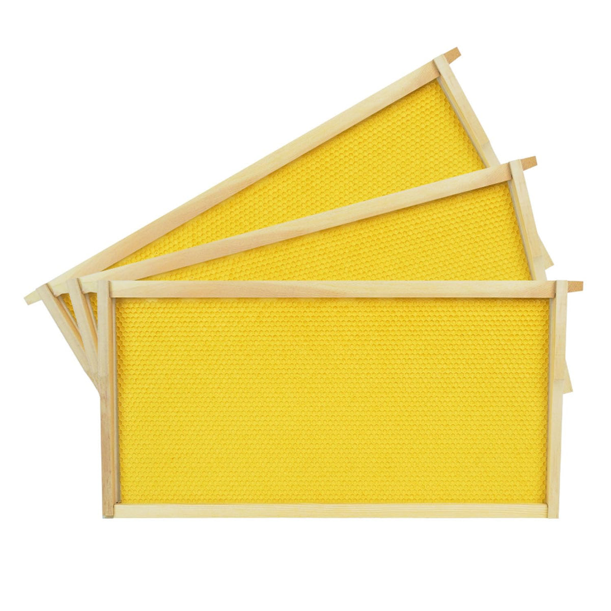 HiveSweet 9-1/8-inch deep frame with wax foundation for comb drawing.