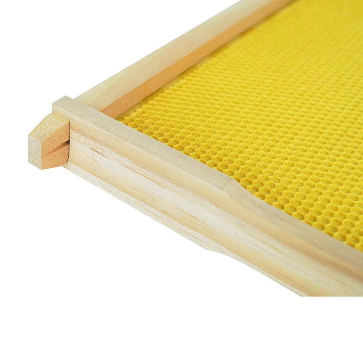 HiveSweet easy-assembly frames designed for repeat use.