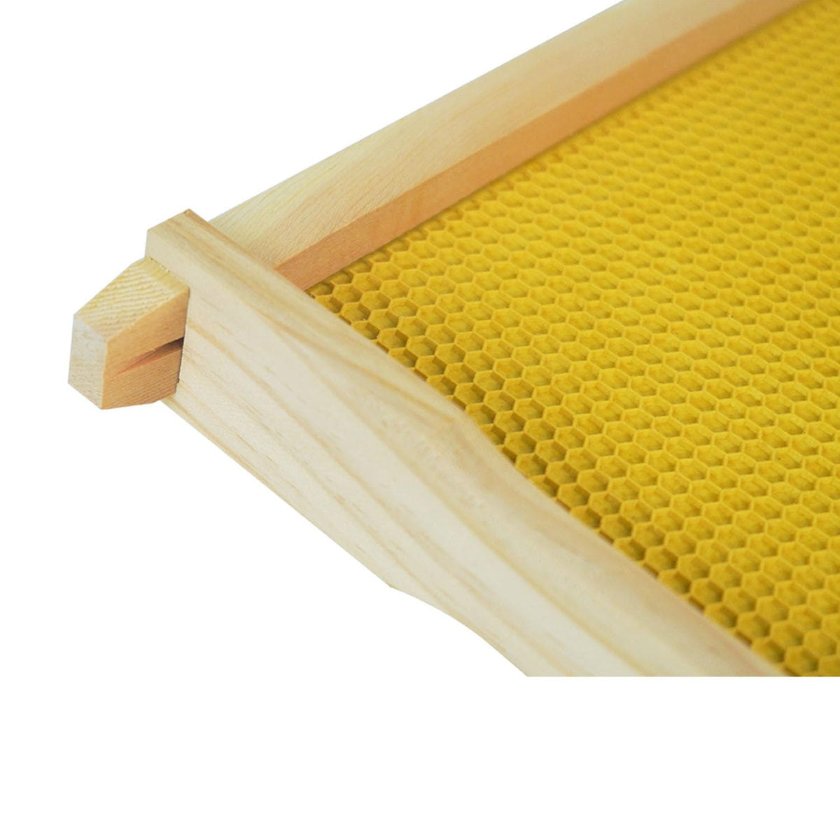HiveSweet frame in use demonstrates wax foundations aiding colony development.