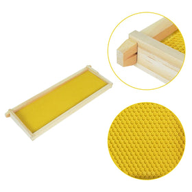 HiveSweet 10-pack frames shown for deep hive compatibility with 8 and 10-frame hives.