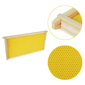 HiveSweet wax-dipped plastic foundation supports durable, natural comb building.