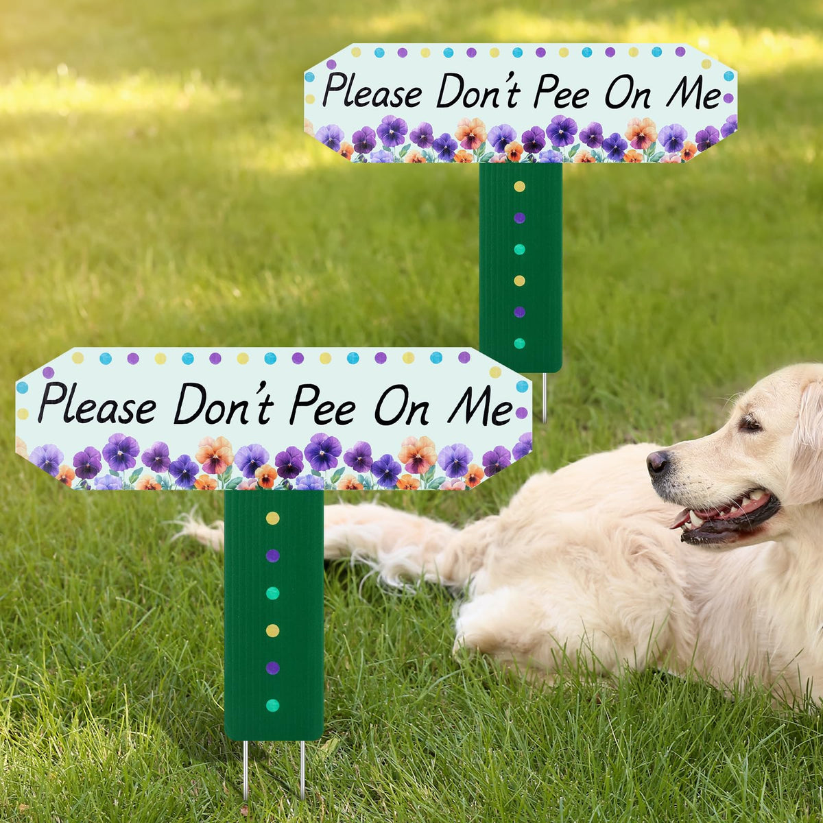 HIYZI No Dog Pee Sign with bright colors for clear messaging