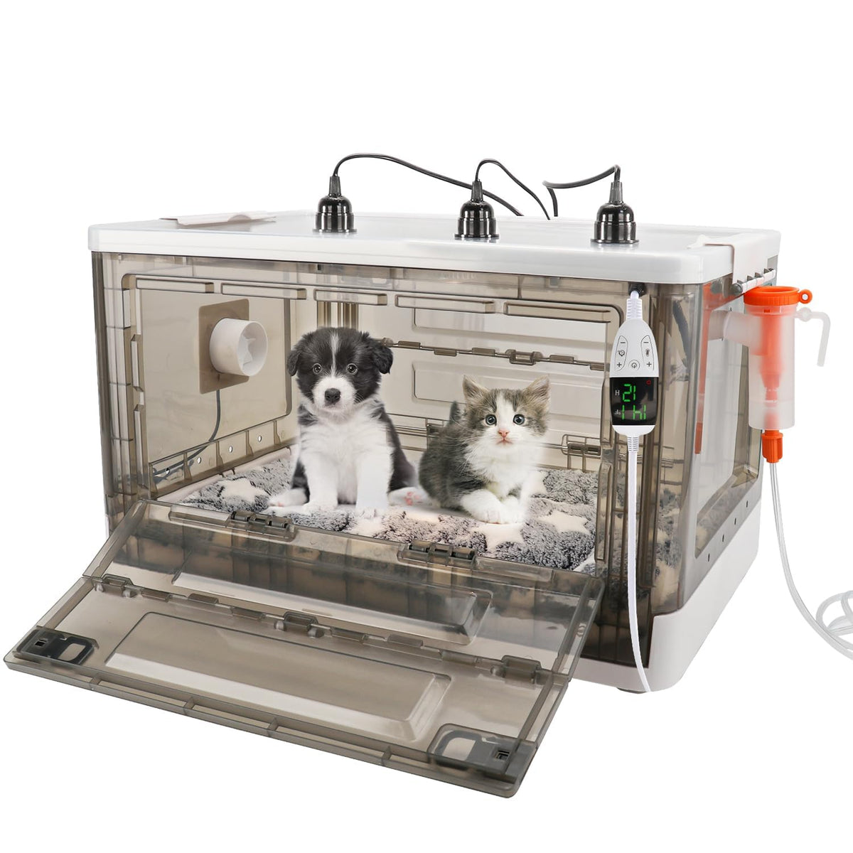 HKDQ incubator spacious clear design enables easy observation of puppies.