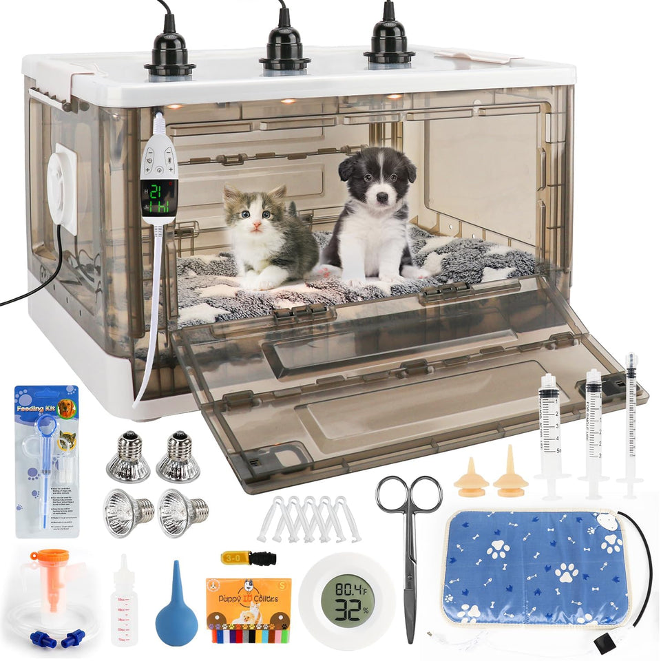 HKDQ puppy incubator with temperature monitoring ensures a stable newborn environment.