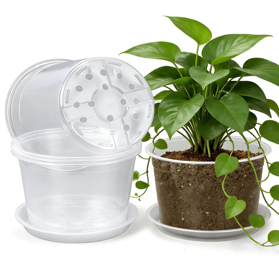 HKKZYT 12-inch clear nursery pot with drainage holes promotes healthy roots and airflow.