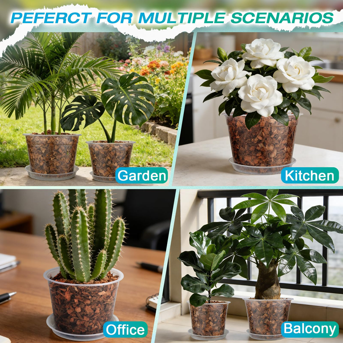 HKKZYT large clear pots support various plant types and setups.
