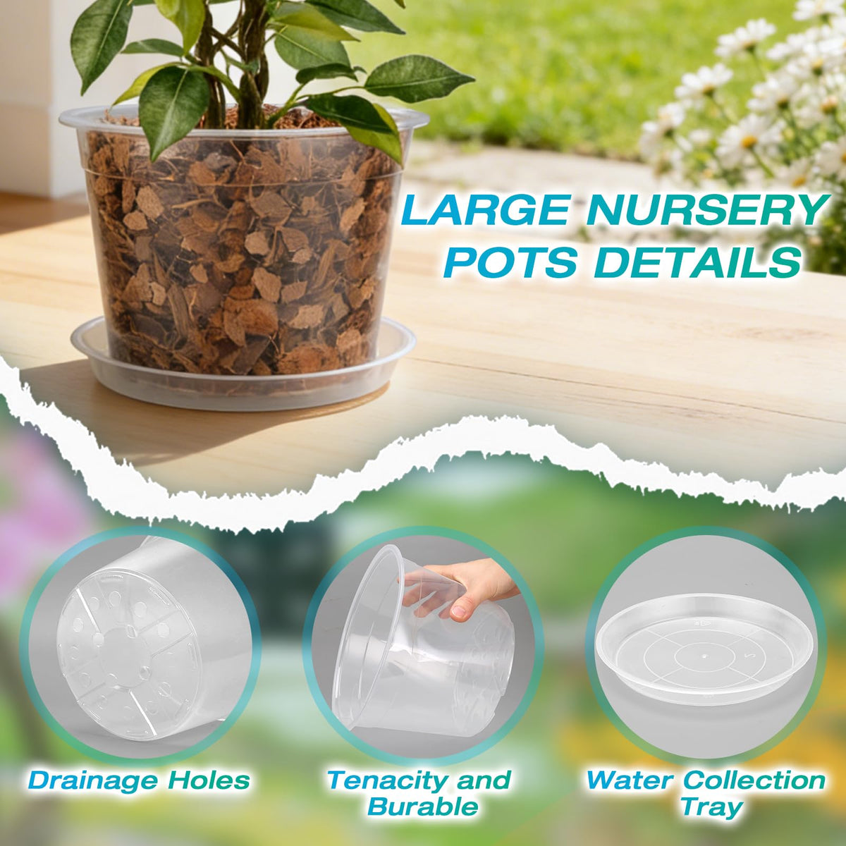 HKKZYT transparent monitoring pot lets you check soil moisture at a glance.