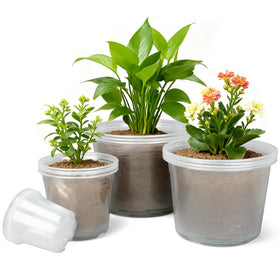 HKKZYT clear nursery pots in four sizes ideal for seed-to-transplant workflows