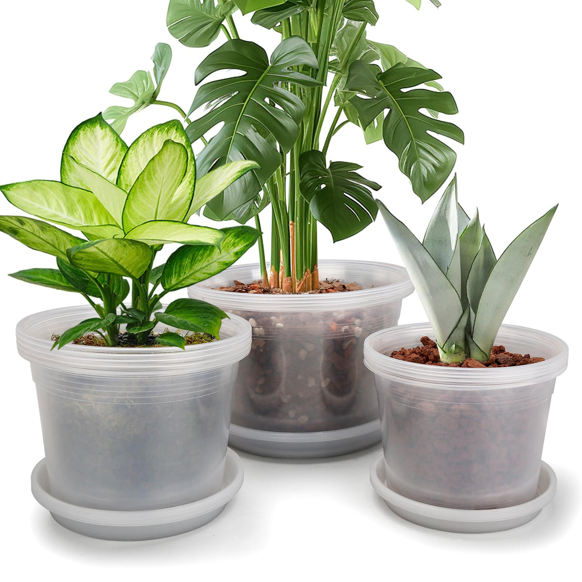HKKZYT clear 8in pot with drainage holes for healthier roots.
