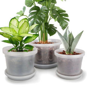 HKKZYT clear 8in pot with drainage holes for healthier roots.