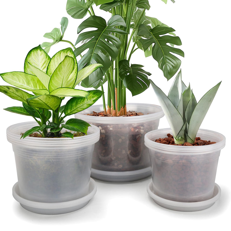 HKKZYT clear 8in pot with drainage holes for healthier roots.