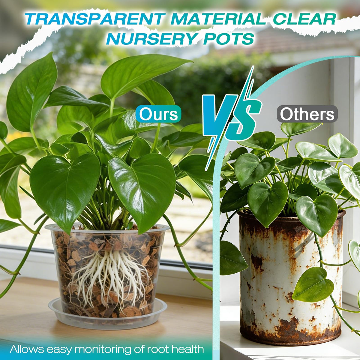 HKKZYT clear pot highlights transparent root and moisture monitoring.