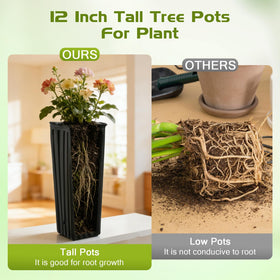 HKKZYT pot shows drainage holes for airflow and reduced waterlogging.