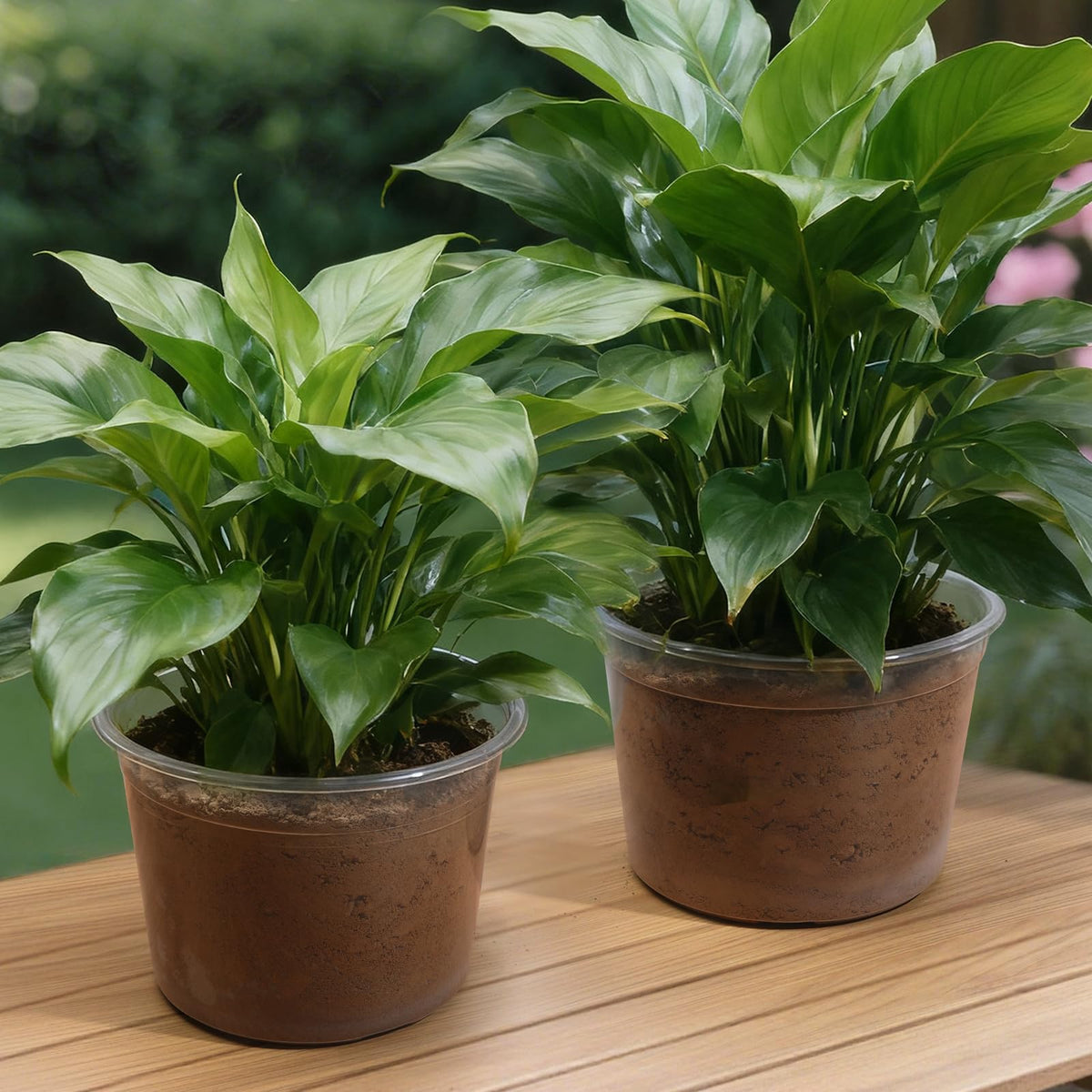 HKKZYT reusable plastic nursery pots are easy to clean
