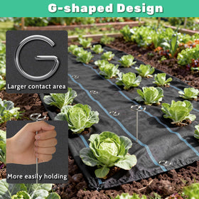 HKKZYT 25pcs pack ideal for large garden areas.