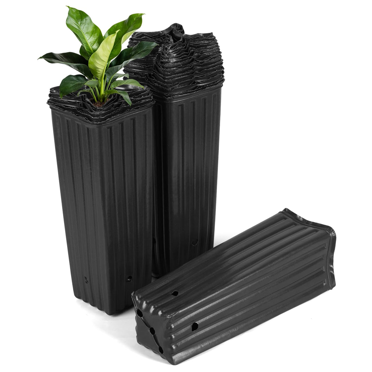 HKKZYT tall tree pot with 12-inch height supporting deep root growth outdoors.