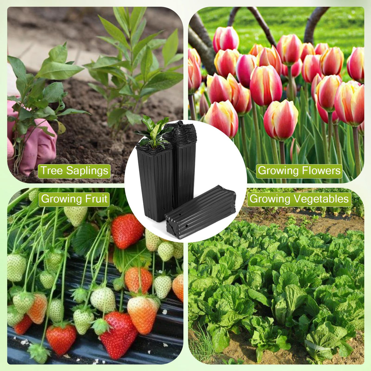 HKKZYT versatile use for seeds, cuttings, vegetables, and young trees.