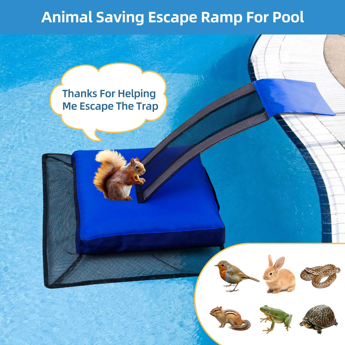 HKZ 2Pcs pool animal escape ramp offers small critters safe exit from water