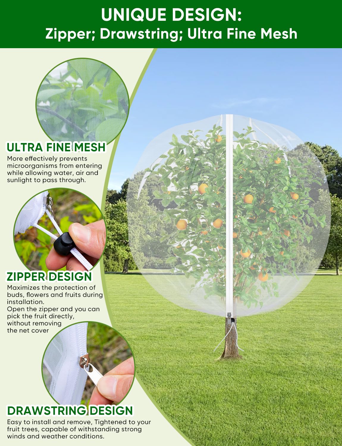HKZ citrus tree netting protecting oranges with secure closure.