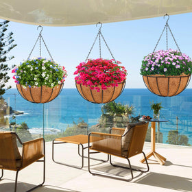 Balcony display with cascading greenery in HKZ planter