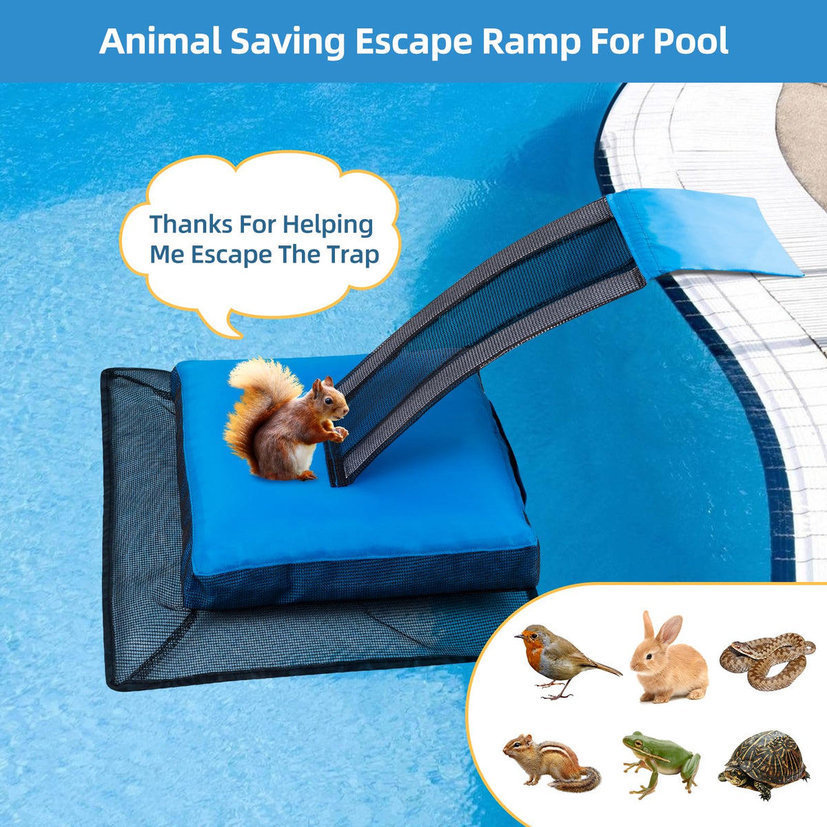 HKZ two-pack includes dual ramps for wider pool coverage