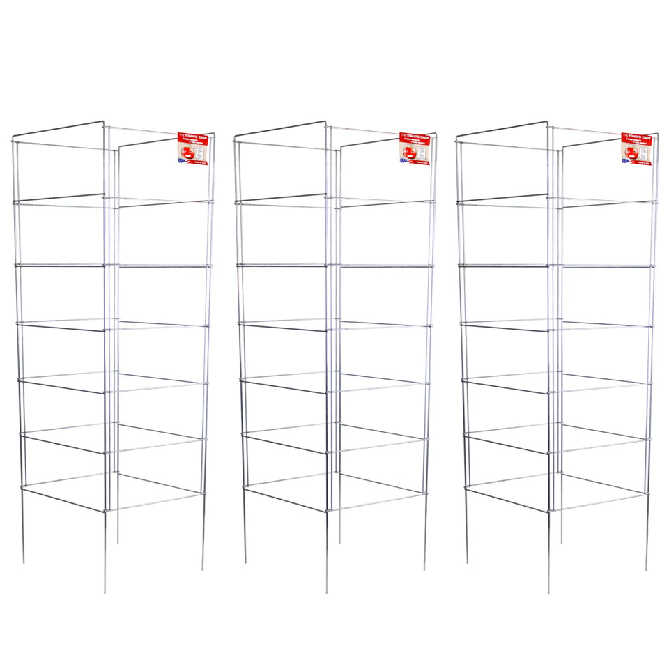 H&L Group Cedar Ridge square foldable tomato cage supports tomatoes in a sturdy garden.