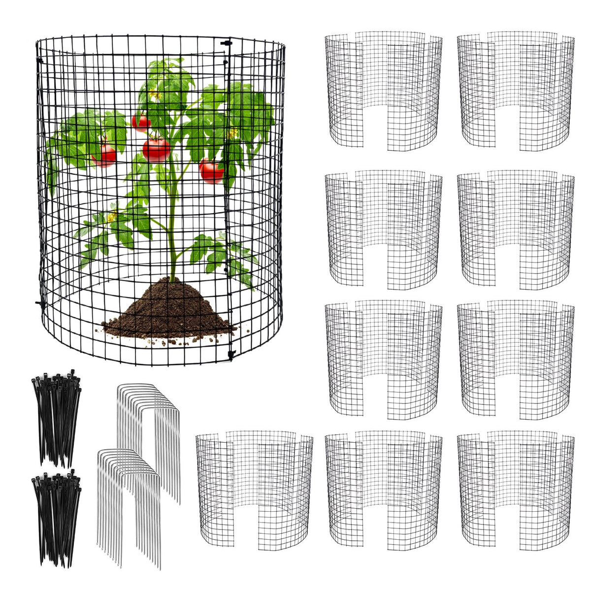 Hlimior round plant protector cage shields seedlings from rabbits while allowing sunlight