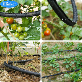 Hlinker hose tucked under mulch for neat irrigation across beds.