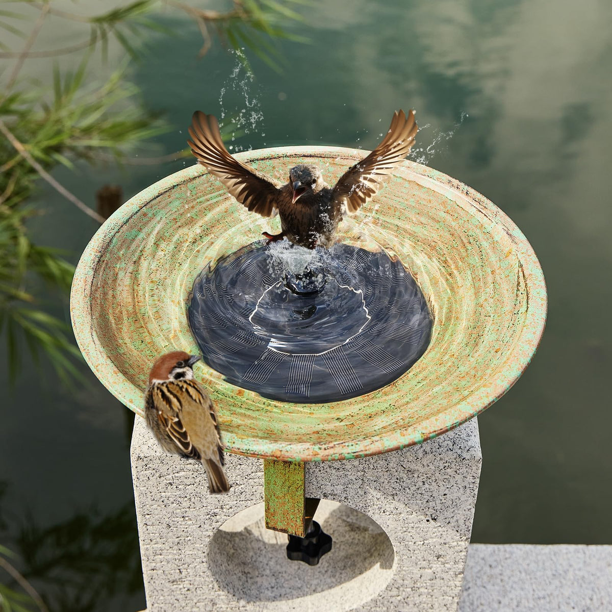 HLQMFHT Solar Fountain Pump Kit delivers self-powered water motion under sun.