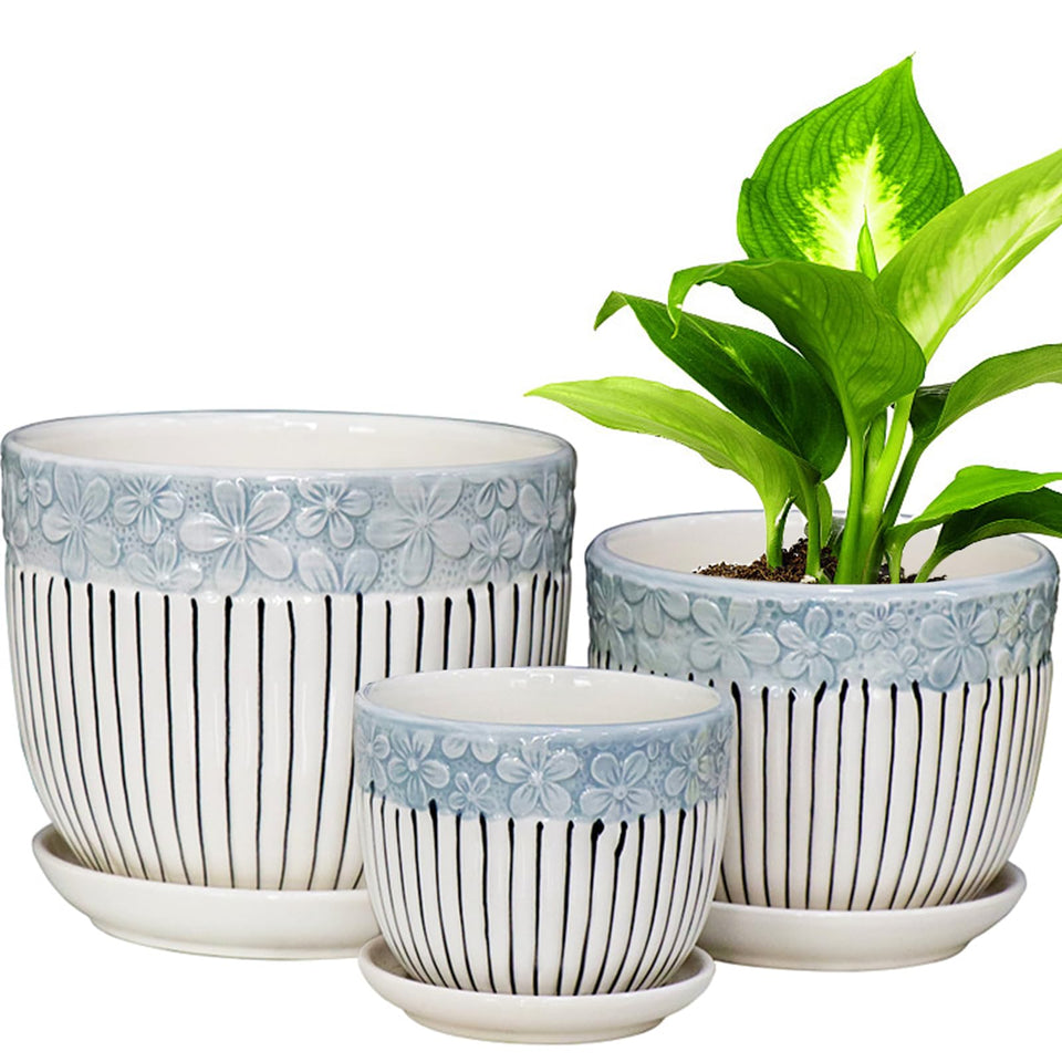 Hlukana ceramic plant pots set of 3 showcased together for stylish indoor greenery.
