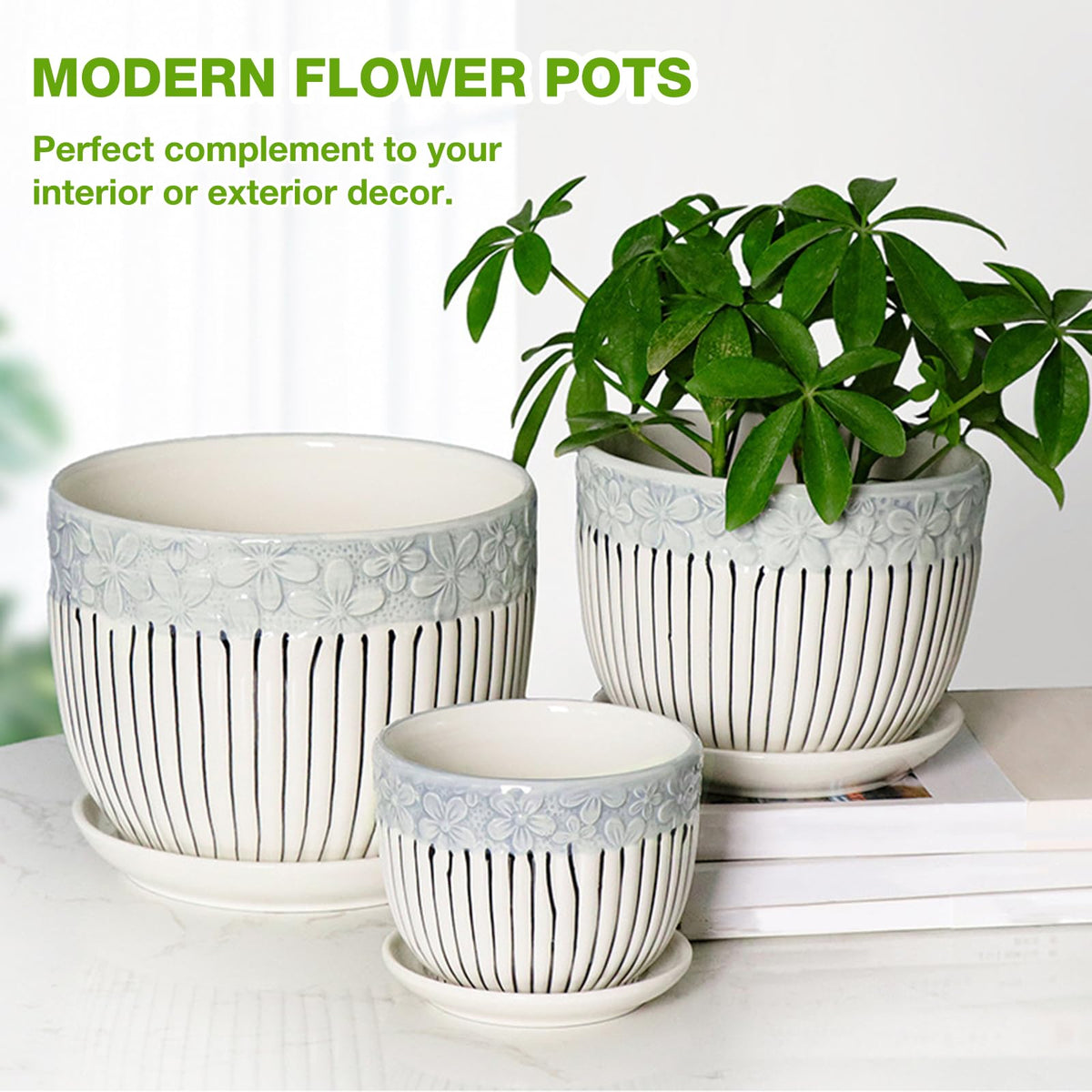 Hlukana small pot ideal for succulents with a protective saucer.