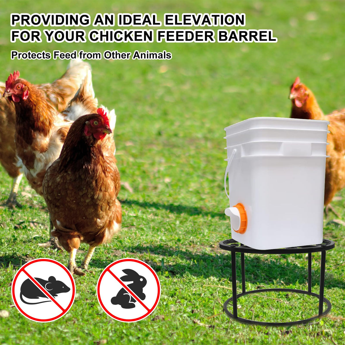 HNONPW rooster design adds decorative charm to poultry area