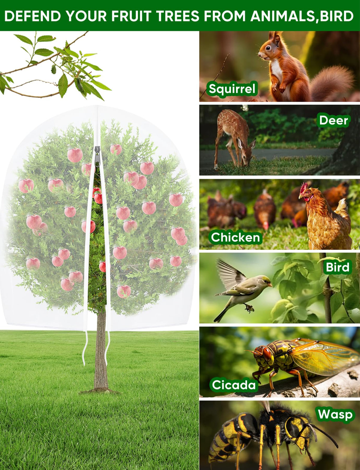HNYTLCO garden netting protects fruit trees and vegetables from pests.