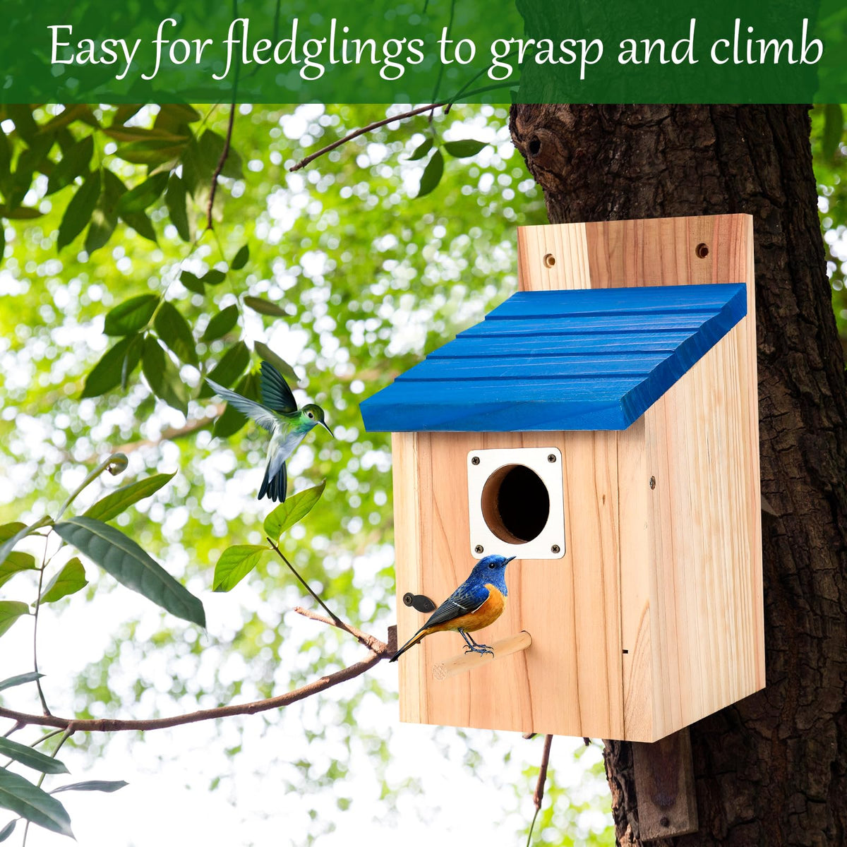 Hoamayya predator-guard birdhouse demonstrating enhanced nest security